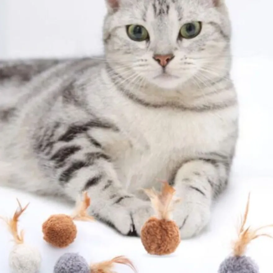 Plüschtiere Katzenminze Pluschballform mit Feder Plüsch spielzeug