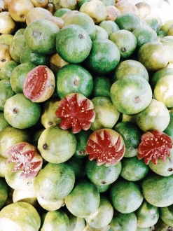 Ponthier Guave Fruchtpüree 6x 1kg Premium Guavenpüree 90 % Frucht aus Madagaskar