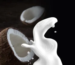 Ponthier Kokosnuss Fruchtpüree 3x 1kg Premium Kokospüree aus Indonesien für Desserts