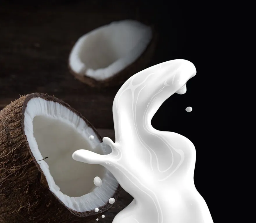 Ponthier Kokosnuss Fruchtpüree 3x 1kg Premium Kokospüree aus Indonesien für Desserts
