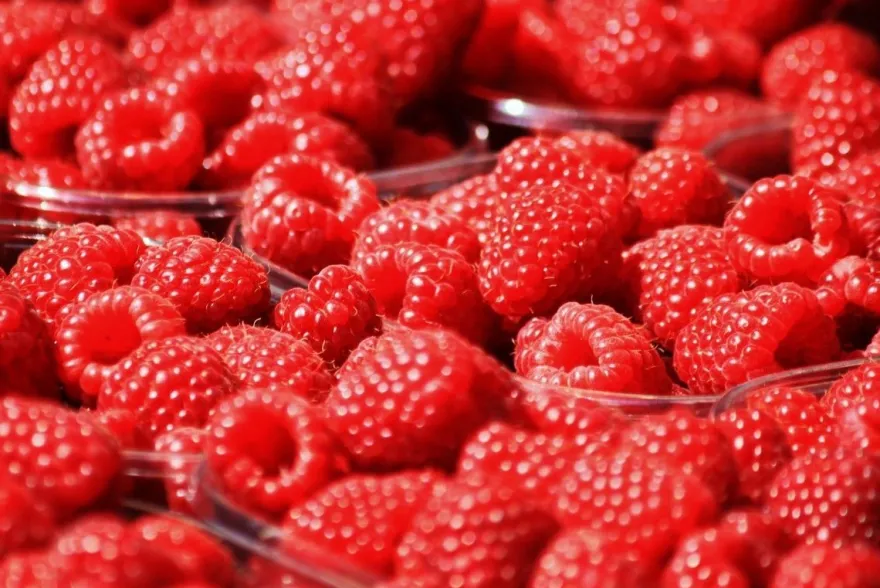 Ponthier Rote Früchte Fruchtpüree 6x 1kg Premium Beerenpüree 90% Frankreich Serbien
