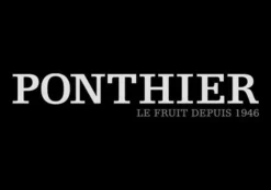 Ponthier Rote Früchte Fruchtpüree 6x 1kg Premium Beerenpüree 90% Frankreich Serbien
