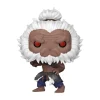 POP-Figur Street Fighter Akuma