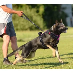 PoyPet Kein Pull Hundegeschirr mit Griff, Rosa, Größe L - Ideal für Training