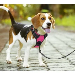 PoyPet Kein Pull Hundegeschirr mit Griff, Rosa, Größe L - Ideal für Training