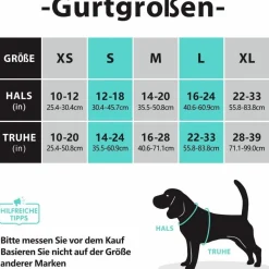 PoyPet Reflektierendes Hundegeschirr, Front-Clip, Violett, Größe S