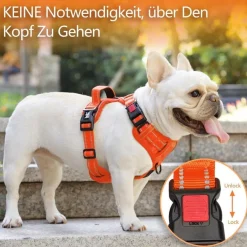 PoyPet Reflektierendes Hundegeschirr ohne Ziehen, weich gepolstert, mit Griff