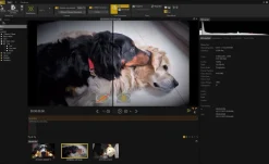 ProDAD Mercalli V6 SAL+ WIN - Professionelle Videobearbeitung - Download Version