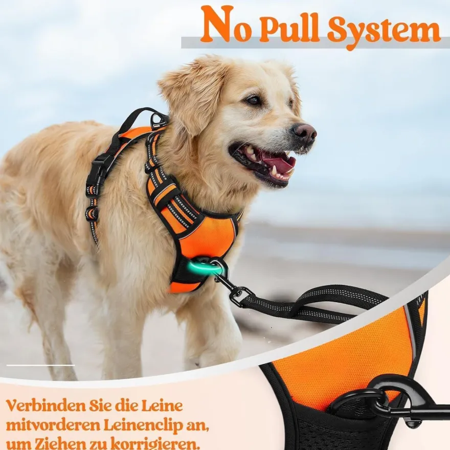 rabbitgoo Anti Zug Hundegeschirr L Orange - Sichere Führung & Komfort für Ihren