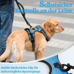 rabbitgoo Anti Zug Hundegeschirr für mittelgroße bis große Hunde, verstellbar