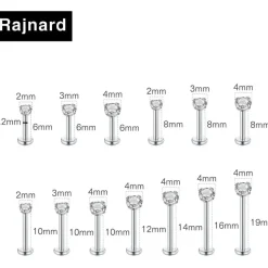 Rajnard 2er Set 16G Chirurgenstahl Lippenpiercing Labret mit Zirkon, Silber