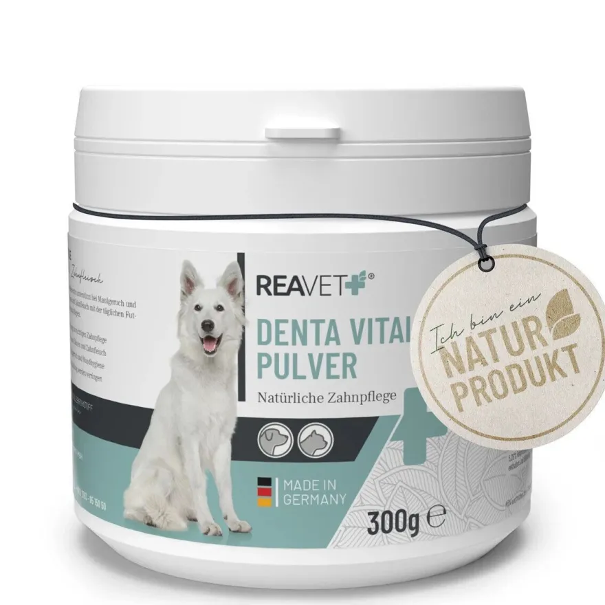 REAVET DentaVital Zahnpflege Pulver für Hund & Katze 300g - Zahnsteinentferner