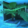 Riesige Palme : Antarktischer Baumfarn.. winterhart .. Gartenpalme .. Sämerei