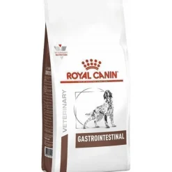 ROYAL CANIN Intestinal Gastro 15 kg