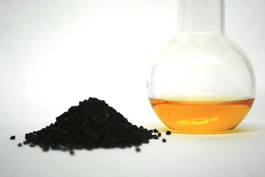 Schwarzkümmelöl 1 Liter Flasche für Hunde, Pferde