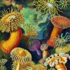 Seeanemonen, Haeckel