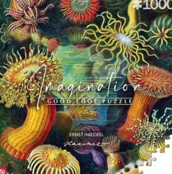 Seeanemonen, Haeckel