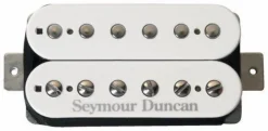 Seymour Duncan Pearly Gates Bridge - White