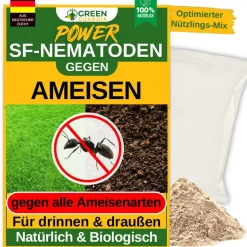 SF-Nematoden gegen Ameisen