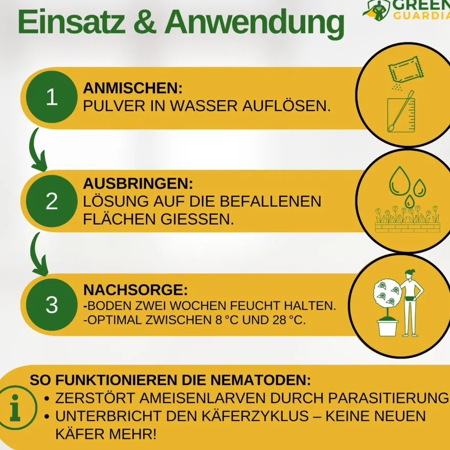 SF-Nematoden gegen Ameisen