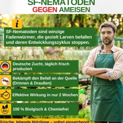 SF-Nematoden gegen Ameisen