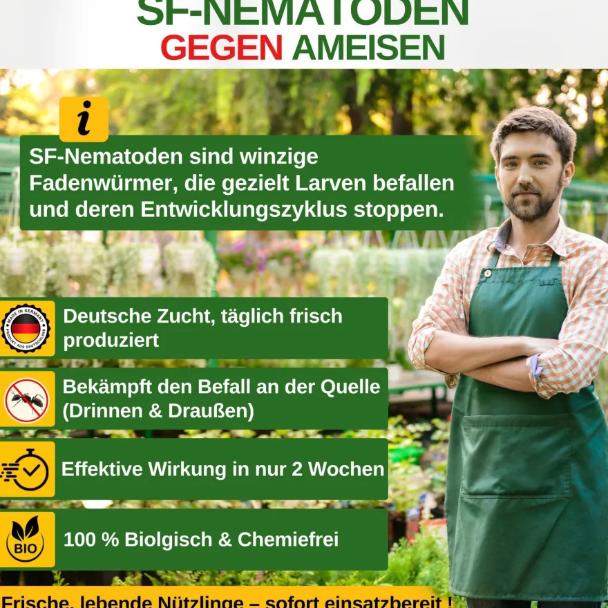 SF-Nematoden gegen Ameisen