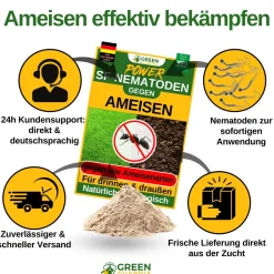 SF-Nematoden gegen Ameisen