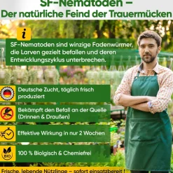 SF-Nematoden gegen Trauermücken