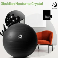 Slim Panda Gymnastikball 65CM, Pezziball mit Pumpe, Explosionsgeschützt, für