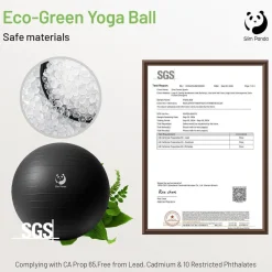 Slim Panda Gymnastikball 65CM, Pezziball mit Pumpe, Explosionsgeschützt, für