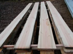 Sonderposten 20St Douglasie unbesäumt Bretter Regal Zaun Schwarten 14-25x2,3x240