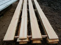 Sonderposten 20St Douglasie unbesäumt Bretter Regal Zaun Schwarten 14-25x2,3x240