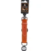 Spotted! Pro Lederhalsband Cognac 2,5x45cm