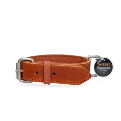 Spotted! Pro Lederhalsband Cognac 2,5x45cm
