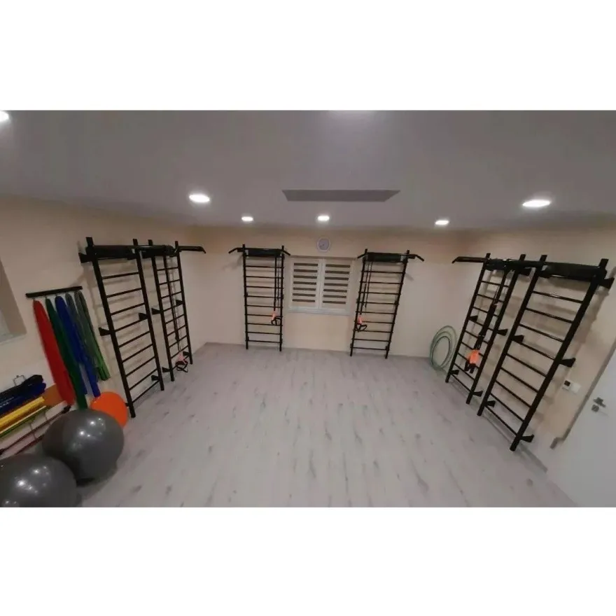 Sprossenwand Kletterwand Klimmzugstange Klettergerüst 10 Sprossen bis 280 kg 6810