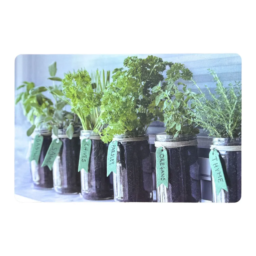 4 Stück Platzsets Tischsets je 43,5 x 28 cm Platzmatten Platzdeckchen abwaschbar
