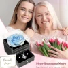 Sunia Ewige Rose Konservierte Blumen mit Herz Halskette Geschenk für Frauen