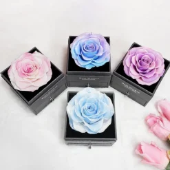 Sunia Ewige Rose Konservierte Blumen mit Herz Halskette Geschenk für Frauen