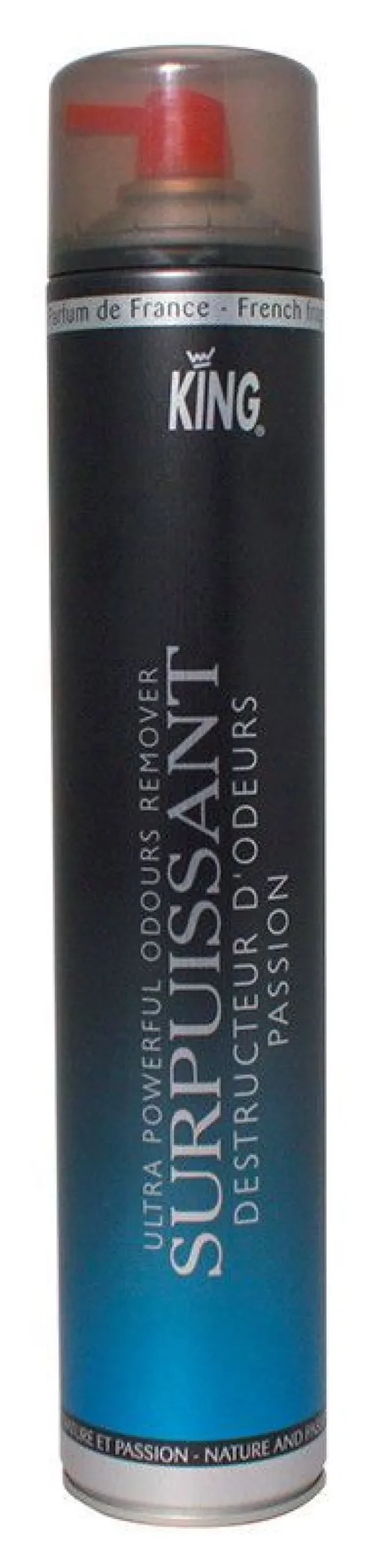 Surpuissant Geruchsvernichter Passion King Air Fresh 750 ml Aerosol