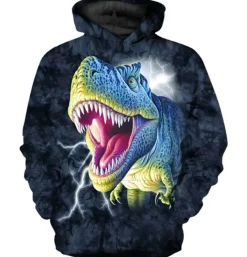 Sweatshirts Kinder Jungen Madchen Hoodies Dinosaurier Hoody Geschenk Dinosaurier