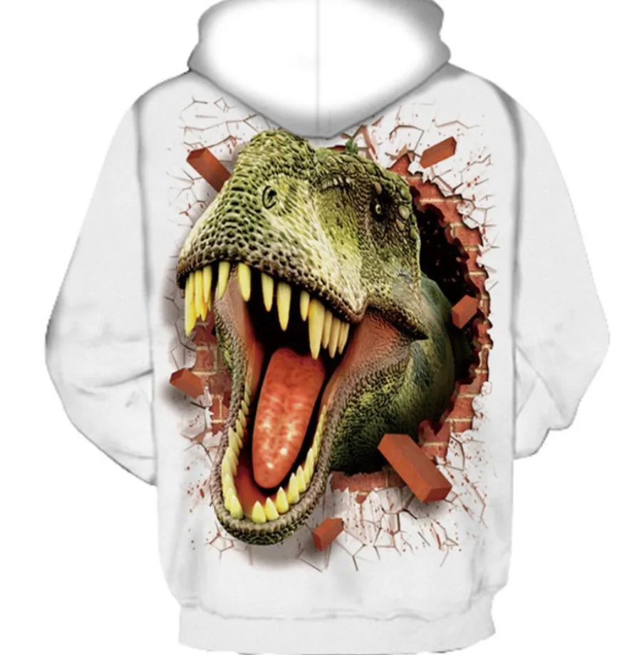 Sweatshirts Kinder Jungen Madchen Hoodies Dinosaurier Hoody Geschenk Dinosaurier