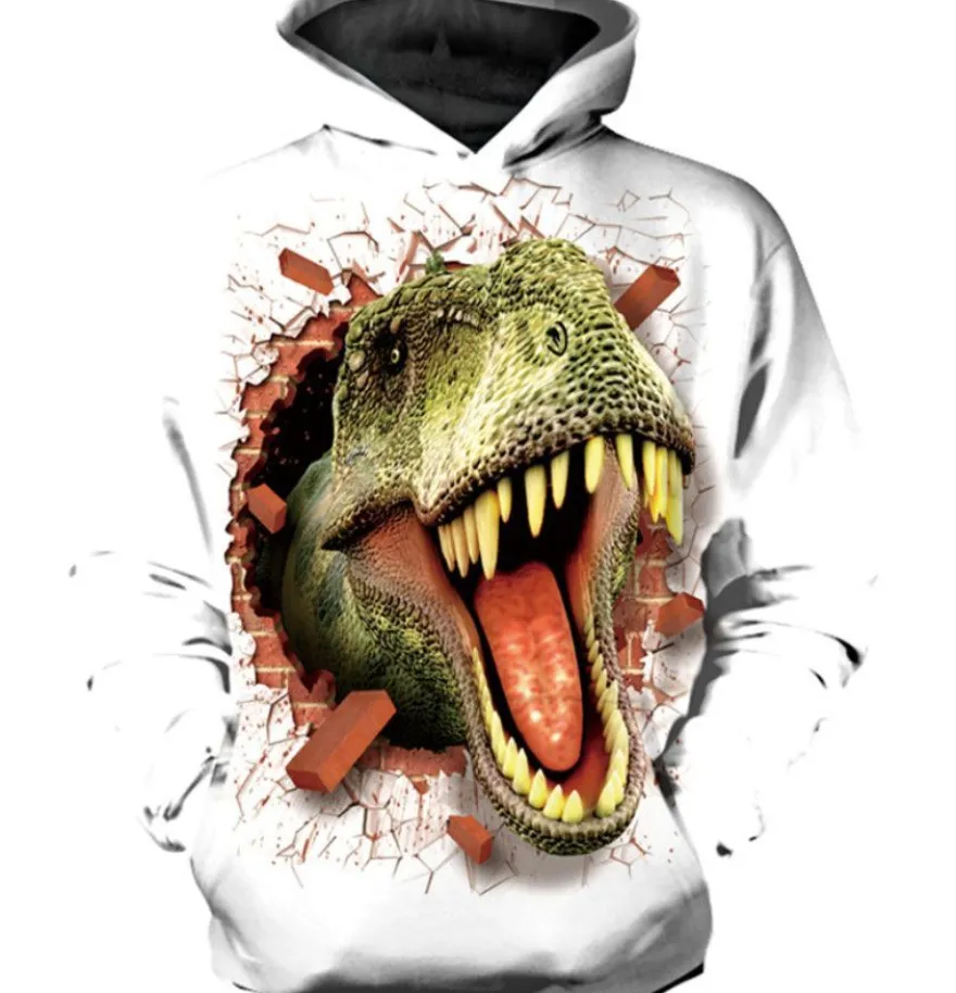 Sweatshirts Kinder Jungen Madchen Hoodies Dinosaurier Hoody Geschenk Dinosaurier