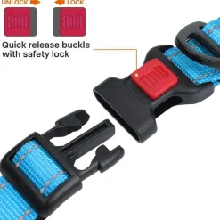 Taglory Hundehalsband M (35-50cm) - Verstellbar, Gepolstert, Reflektierend