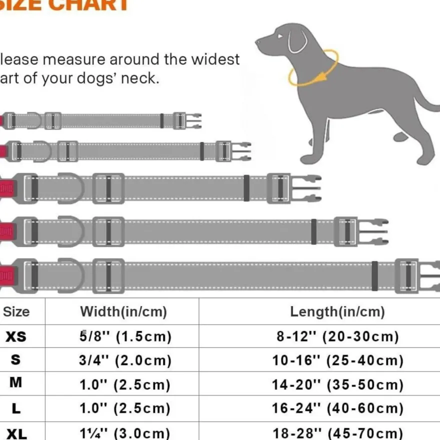 Taglory Hundehalsband M (35-50cm) - Verstellbar, Gepolstert, Reflektierend