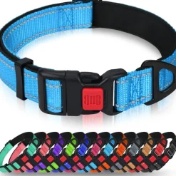 Taglory Hundehalsband M (35-50cm) - Verstellbar, Gepolstert, Reflektierend