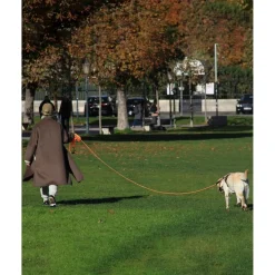 Taglory Schleppleine 10m für Hunde | Reflektierendes Seil | Doppelter Haken |