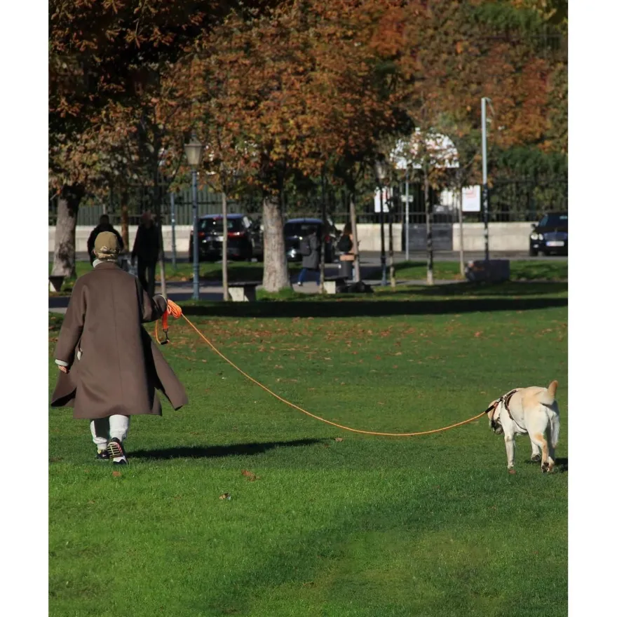 Taglory Schleppleine 10m für Hunde | Reflektierendes Seil | Doppelter Haken |