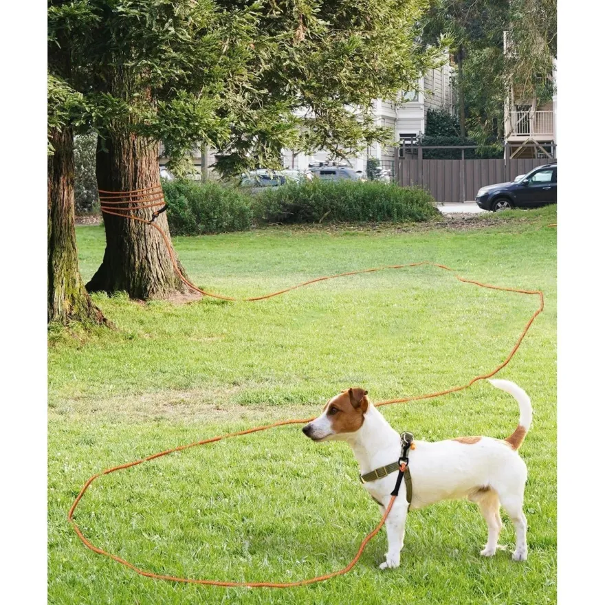 Taglory Schleppleine 10m für Hunde | Reflektierendes Seil | Doppelter Haken |
