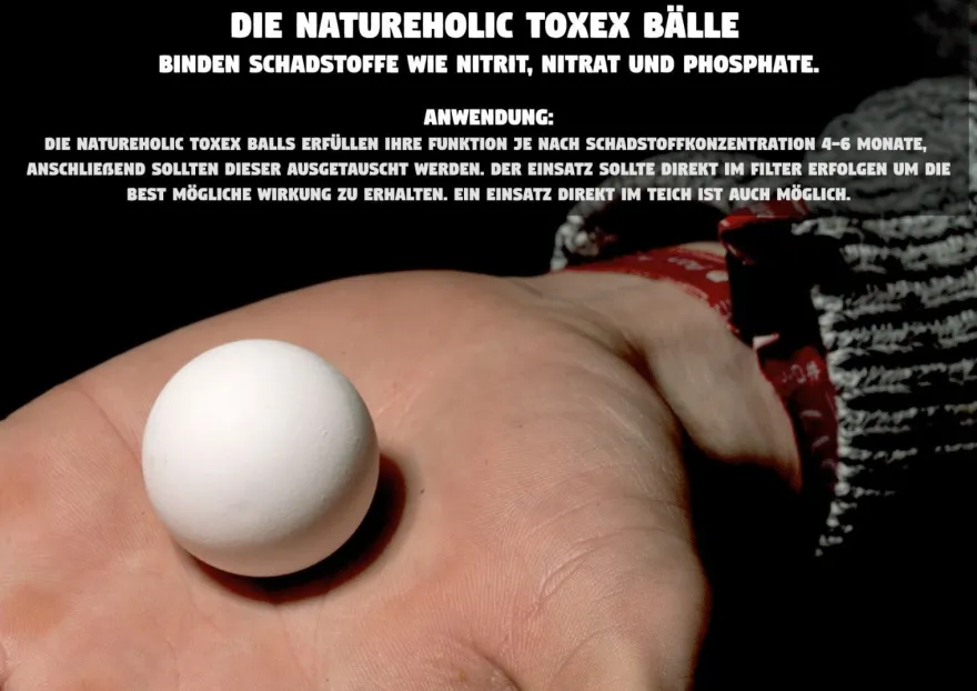 Teich Sumpfdeckelschnecke 10 St. + 1 NH TOXEX BALL - (Faden) Algen und Laubfresser