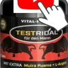 Testridal 60 Kapseln, Pre Workout Booster, Testosteron Booster, Hardcore Booster